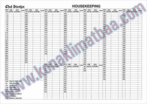 hausekeeping dizelya