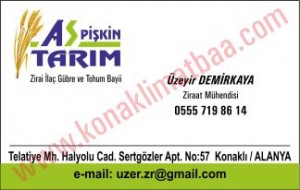 piskintarim